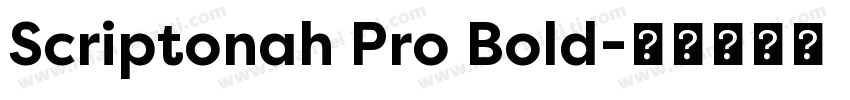 Scriptonah Pro Bold字体转换